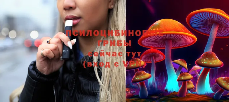 Галлюциногенные грибы Magic Shrooms  Сасово 